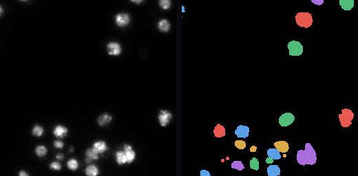 BBBC038 raw image and reference instance labels.