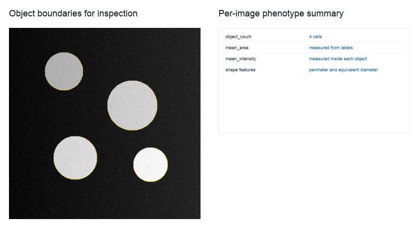 Cell boundaries and phenotype summary table preview