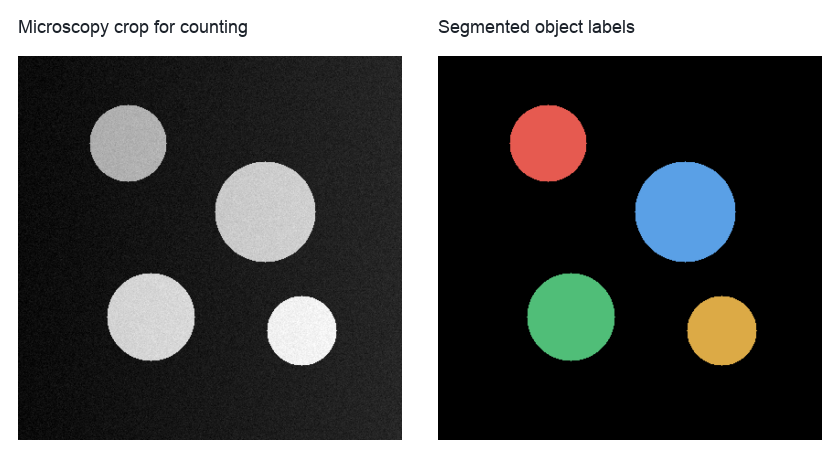 Microscopy crop and corresponding object-label preview for cell counting