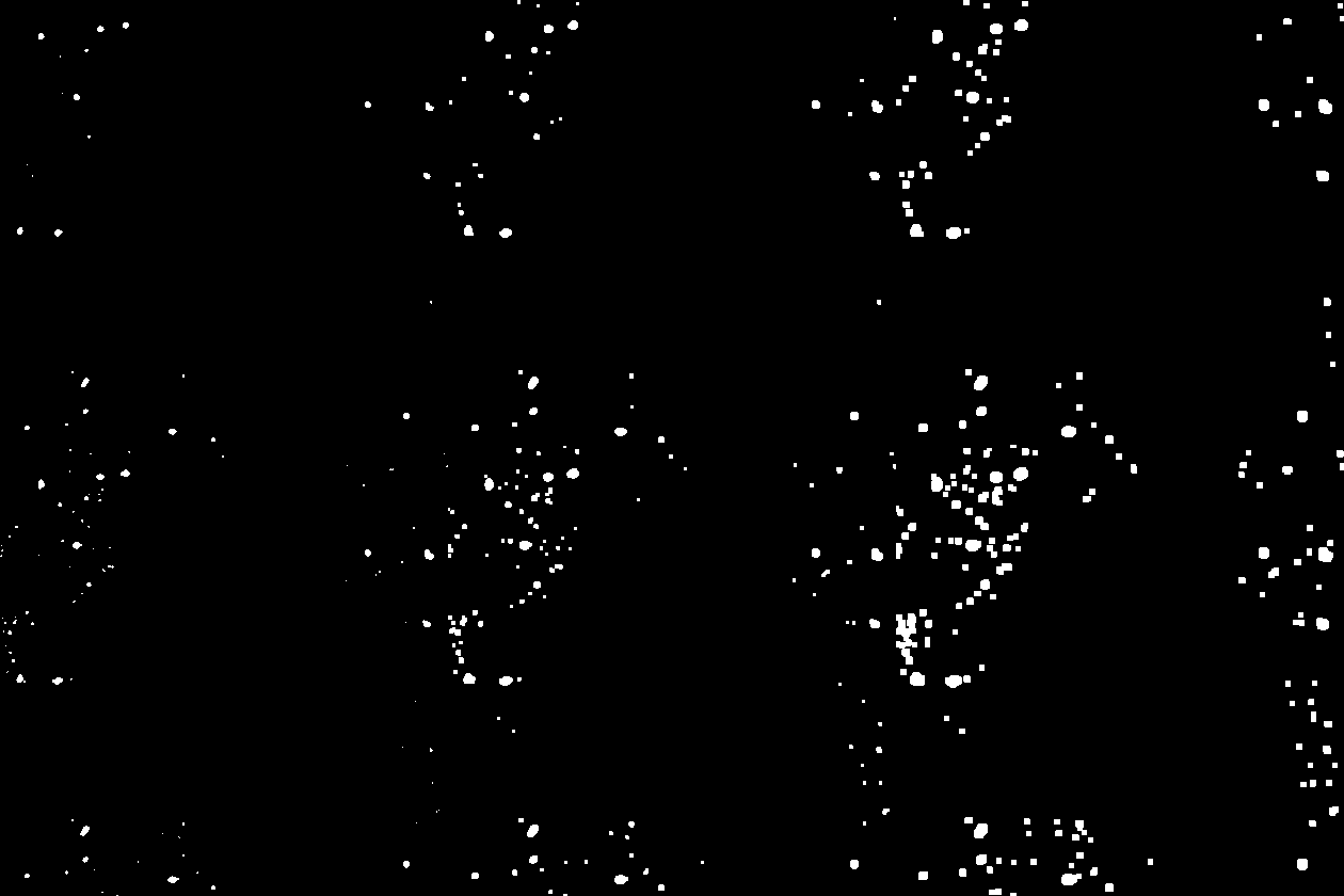 Mosaic of ATLAS binary masks from a parameter sweep.