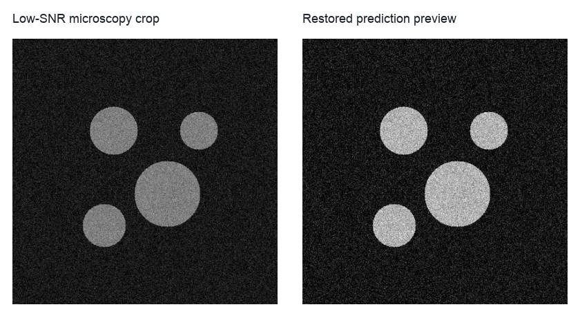 Low-SNR microscopy crop and documentation preview of a restored image