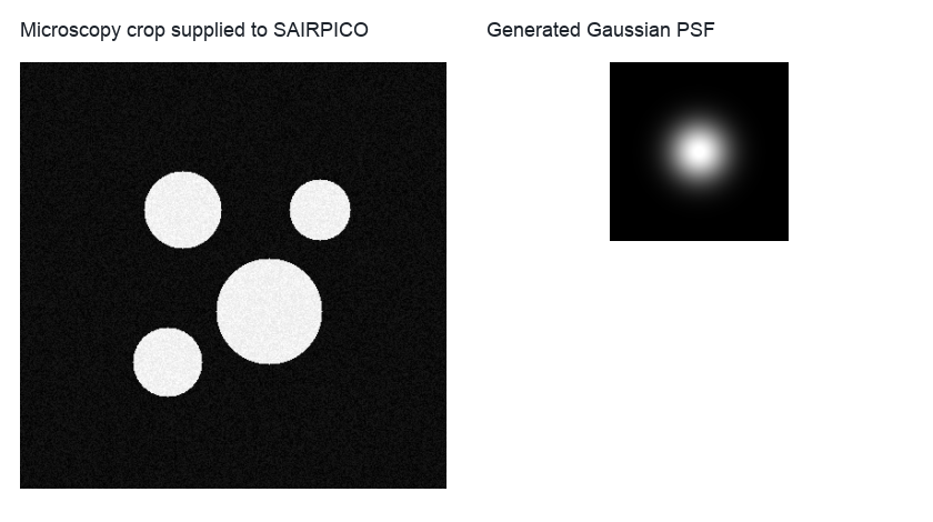 Microscopy crop and generated Gaussian PSF for SAIRPICO deconvolution