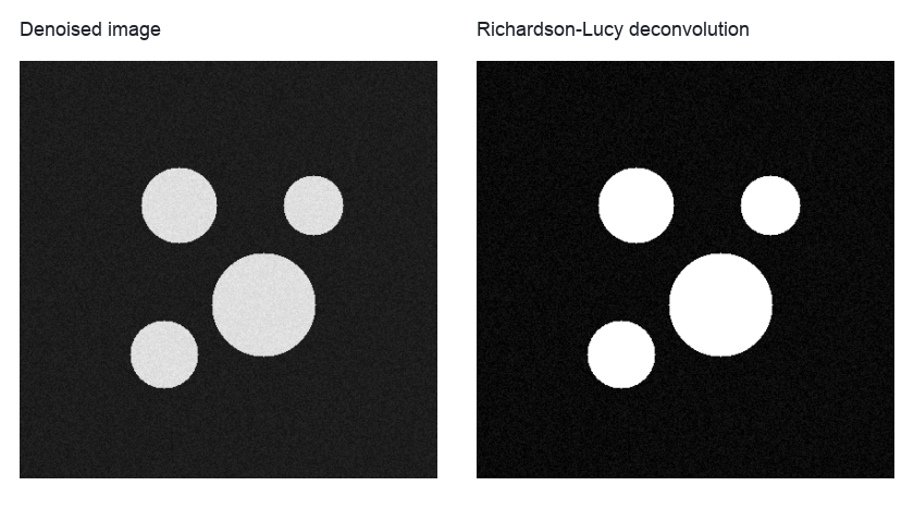 Documentation preview of denoised and deconvolved microscopy images