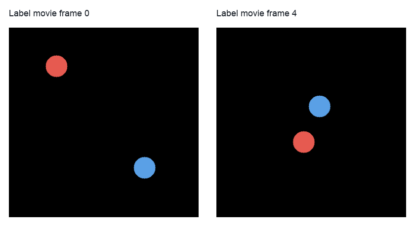 Two frames from a 2D label movie for live-cell migration tracking