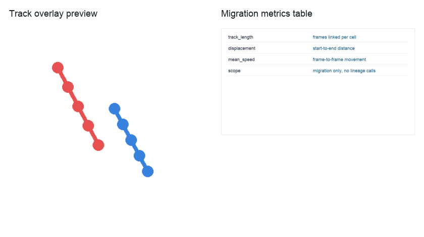 Live-cell track overlay and migration metrics table preview